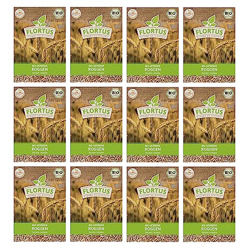 FLORTUS BIO Roggen Getreide Samen 900g | Alte Sorten Urgetreide zur Herstellung von Mehl Sauerteig Brot Roggengras & Microgreens | Sprossen Samen von FLORTUS Freude an Vielfalt