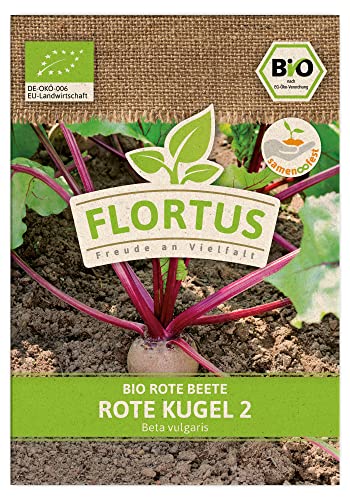 FLORTUS BIO Rote Beete Rote Kugel 2 | Gemüsesamen | Rote Beetesamen | Rübensamen | Samen zur Anzucht für Garten, Balkon, Küche & Fensterbank von FLORTUS Freude an Vielfalt