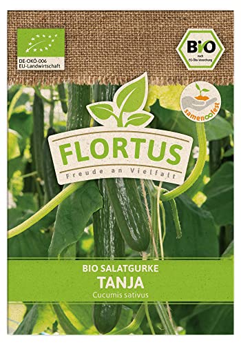 FLORTUS BIO Salatgurke Tanja | Gemüsesamen | Gurkensamen | Salatgurkensamen | Samen zur Anzucht für Garten, Balkon, Küche & Fensterbank von FLORTUS Freude an Vielfalt