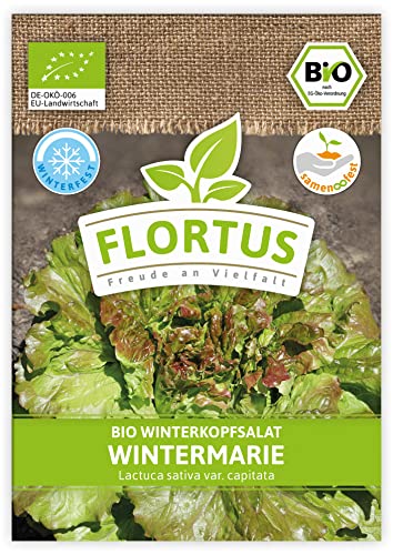 FLORTUS BIO Winterkopfsalat Wintermarie | Gemüsesamen | Salatsamen | Kopfsalatsamen | Wintergemüse | Samen zur Anzucht für Garten, Balkon, Küche & Fensterbank von FLORTUS Freude an Vielfalt