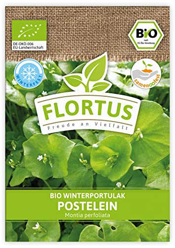FLORTUS BIO Winterportulak Postelein | Gemüsesamen | Portulaksamen | Wintergemüse | Samen zur Anzucht für Garten, Balkon, Küche & Fensterbank von FLORTUS Freude an Vielfalt