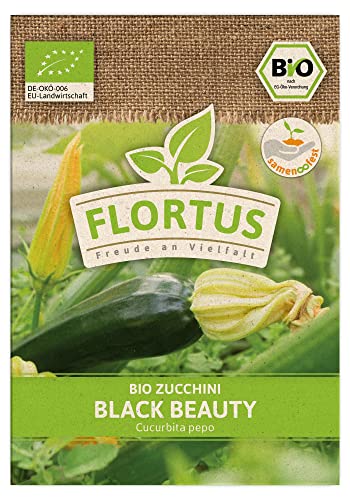 FLORTUS BIO Zucchini Black Beauty | Gemüsesamen | Zucchinisamen | Samen zur Anzucht für Garten, Balkon, Küche & Fensterbank von FLORTUS Freude an Vielfalt