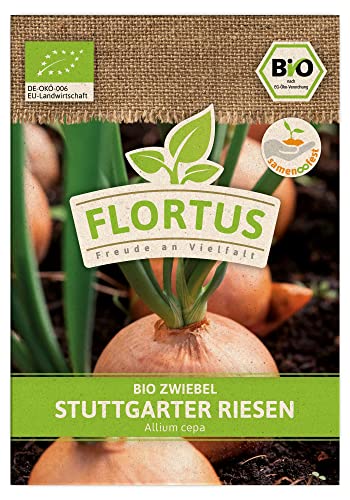 FLORTUS BIO Zwiebel Stuttgarter Riesen | Gemüsesamen | Zwiebelsamen | Samen zur Anzucht für Garten, Balkon, Küche & Fensterbank von FLORTUS Freude an Vielfalt
