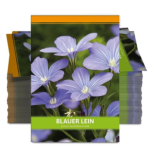 FLORTUS Blauer Lein als Gastgeschenke (100 Stück) | Blumensamen als Dankeschön Geschenke, Mitgebsel & Werbegeschenke | Bienenfreundliches Saatgut von FLORTUS Freude an Vielfalt