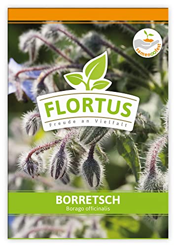 FLORTUS Borretsch | Kräutersamen | Borretschsamen | Samen zur Anzucht für Garten, Balkon, Küche & Fensterbank von FLORTUS Freude an Vielfalt