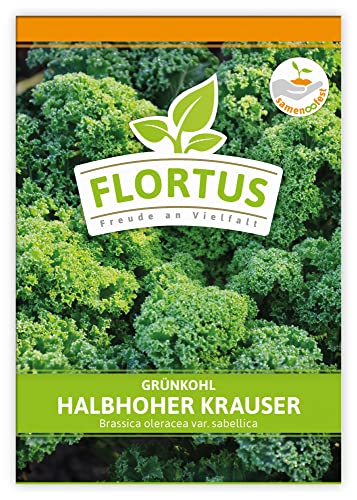 FLORTUS Grünkohl Halbhoher Krauser | Gemüsesamen | Kohlsamen | Grünkohlsamen | Samen zur Anzucht für Garten, Balkon, Küche & Fensterbank von FLORTUS Freude an Vielfalt