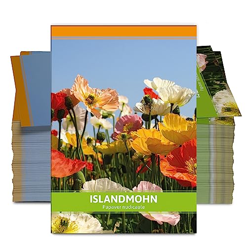 FLORTUS Islandmohn als Gastgeschenke (100 Stück) | Blumensamen als Dankeschön Geschenke, Mitgebsel & Werbegeschenke | Wildblumensamen von FLORTUS Freude an Vielfalt