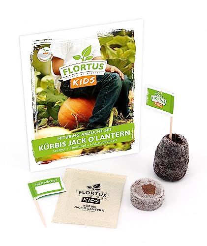 FLORTUS KIDS Mini Anzuchtset Jack O'Lantern | Anzuchtset Kinder für Halloween Kürbis | Mitgebsel Kindergeburtstag | Gemüsesamen für Kinder von FLORTUS Freude an Vielfalt