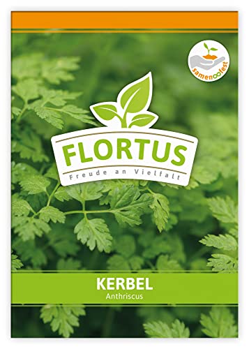 FLORTUS Kerbel | Kräutersamen | Kerbelsamen | Samen zur Anzucht für Garten, Balkon, Küche & Fensterbank von FLORTUS Freude an Vielfalt