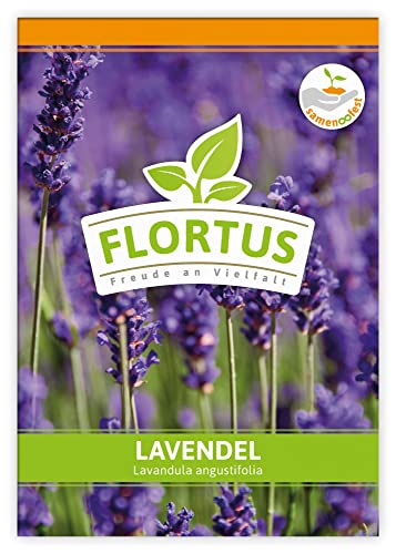 FLORTUS Lavendel Samen als Gastgeschenke | Kräutersamen als Dankeschön Geschenke, Mitgebsel & Werbegeschenke | Lavendel Pflanze von FLORTUS Freude an Vielfalt