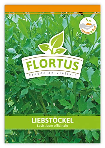 FLORTUS Liebstöckel | Kräutersamen | Liebstöckelsamen | Samen zur Anzucht für Garten, Balkon, Küche & Fensterbank von FLORTUS Freude an Vielfalt