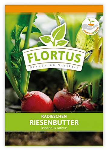 FLORTUS Radieschen Riesenbutter | Gemüsesamen | Radieschensamen | Samen zur Anzucht für Garten, Balkon, Küche & Fensterbank von FLORTUS Freude an Vielfalt