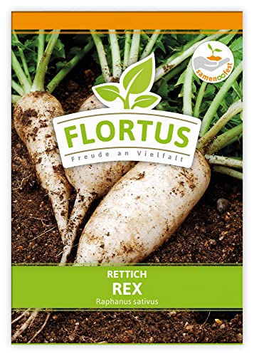 FLORTUS Rettich Rex | Gemüsesamen | Rettichsamen | Samen zur Anzucht für Garten, Balkon, Küche & Fensterbank von FLORTUS Freude an Vielfalt