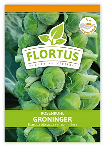 FLORTUS Rosenkohl Groninger | Gemüsesamen | Kohlsamen | Rosenkohlsamen | Samen zur Anzucht für Garten, Balkon, Küche & Fensterbank von FLORTUS Freude an Vielfalt