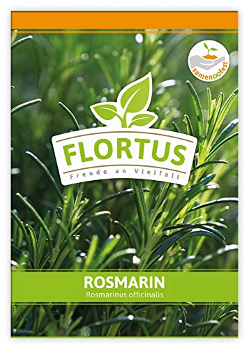 FLORTUS Rosmarin | Kräutersamen | Rosmarinsamen | Samen zur Anzucht für Garten, Balkon, Küche & Fensterbank von FLORTUS Freude an Vielfalt