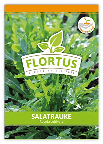 FLORTUS Salatrauke | Kräutersamen | Raukesamen | Rucolasamen | Samen zur Anzucht für Garten, Balkon, Küche & Fensterbank von FLORTUS Freude an Vielfalt