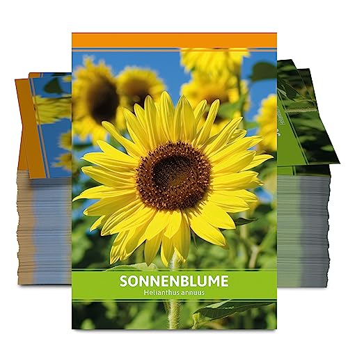 FLORTUS Sonnenblumen Samen für Gastgeschenke (100 Tütchen) | Blumensamen perfekt als Dankeschön Geschenke, Werbegeschenke & Gastgeschenke Hochzeit von FLORTUS Freude an Vielfalt