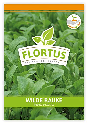 FLORTUS Wilde Rauke | Kräutersamen | Raukesamen | Rucolasamen | Samen zur Anzucht für Garten, Balkon, Küche & Fensterbank von FLORTUS Freude an Vielfalt