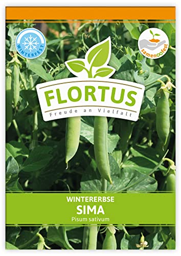 FLORTUS Wintererbse Sima | Gemüsesamen | Erbsensamen | Markerbsensamen | Samen zur Anzucht für Garten, Balkon, Küche & Fensterbank von FLORTUS Freude an Vielfalt