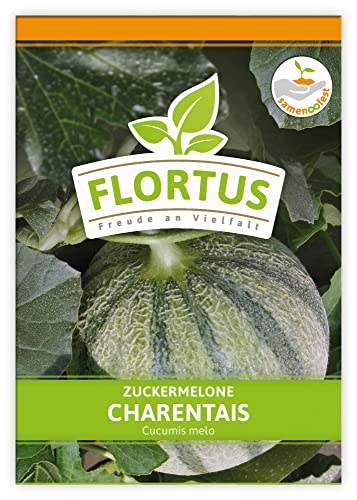 FLORTUS Zuckermelone Charentaise | Zuckermelonensamen | Obstsamen | Samen zur Anzucht für Garten, Balkon, Küche & Fensterbank von FLORTUS Freude an Vielfalt