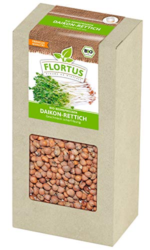 FLORTUS BIO Keimsprossen Daikon-Rettich (200 g) | Gesunde & leckere Keimsprossen | Sprossensaat | Keimsprossen | Keimsaaten von FLORTUS Freude an Vielfalt