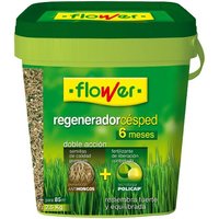 Blume Regenerator c © Sped 6 Monate, Doppel AcciСn, WЩrfel 2,5 kg von FLOWER