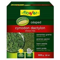 Cynodon Dactilon feine Blume - 500 g von FLOWER