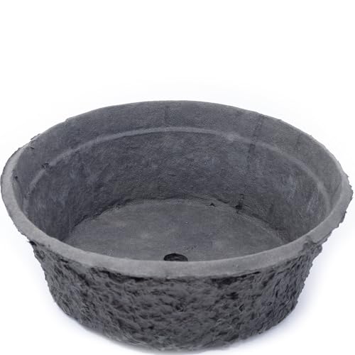 Flowerbox Oasis® Black BIOLIT® Pflanzschale - Ø 25 cm von Flowerbox