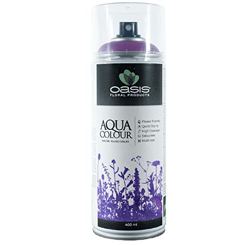 FLOWERBOX Oasis Sprayfarbe Aqua Colour Spray Fuchsia 400ml Sprühlack seidenmatt matt für Außen und Innen von FLOWERBOX