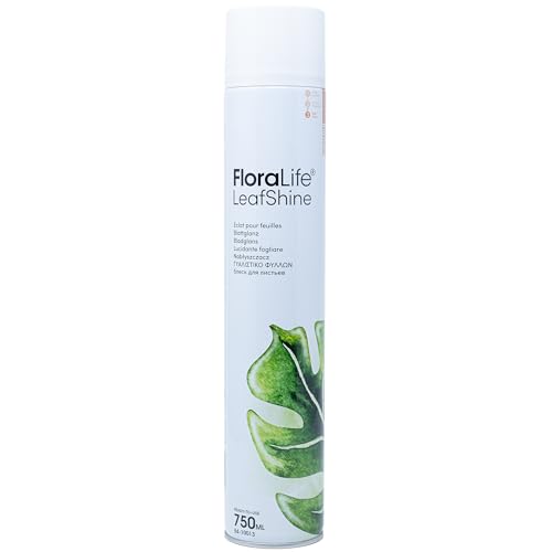 Oasis FLORALIFE Blattglanz 750 ml Spray Glanzspray Blattpflege für Zimmerpflanzen Grünpflanzen von FLOWERBOX