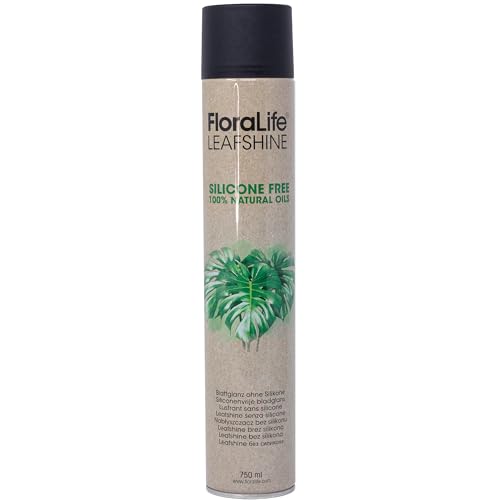 Oasis FLORALIFE Blattglanz ohne Silikone 750 ml Spray Glanzspray Blattpflege für Zimmerpflanzen Grünpflanzen von FLOWERBOX