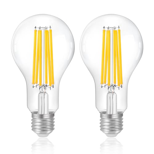 FLSNT LED Edison Glühbirne E27, A70 LED Filament Lampe 3000 Lumen Super Hell, 18W(Ersetzt 200W), 3000K Warmweiß, nicht dimmbar, Klar Glas, 2 Stück von FLSNT