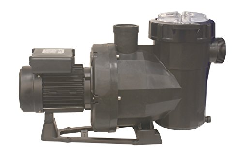 Fluidra 65560 – Pumpe Victoria Plus Silent 3/4 CV Mono von FLUIDRA PISCINA&SPA