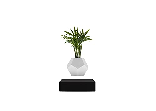 FLYTE - Lyfe schwebender Blumentopf für Luftpflanzen, weißer Topf, schwarze Basis von FLYTE
