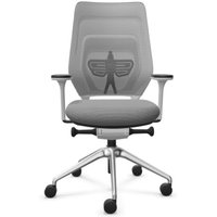FM Büromöbel Schwerlast-Bürostuhl FM asiento, Synchronmechanik, 4D Armlehnen, 3D Sitzneigefunktion, Rückenlehne mit 3D-Strickgewebe, transparent bezogen, mit Lordosenstütze, hellgrau von FM Büromöbel
