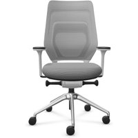 FM Büromöbel Schwerlast-Bürostuhl FM asiento, Synchronmechanik, 4D Armlehnen, 3D Sitzneigefunktion, Rückenlehne mit 3D-Strickgewebe, transparent bezogen, ohne Lordosenstütze, hellgrau von FM Büromöbel