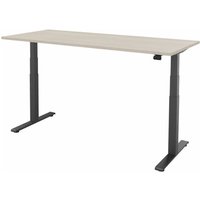 FM Büromöbel elektrisch höhenverstellbarer Schreibtisch fouraction, BxT 1.800 x 800 mm, ohne Memory-Schalter, akazie hell, anthrazit metallic von FM Büromöbel