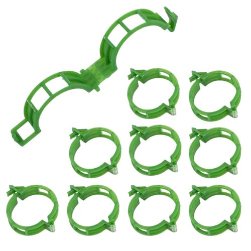 100/1Pcs Anlage Unterstützung Clips Unterstützt Verbindet Wiederverwendbare Pfropfen Befestigungs Schnalle for Unterstützung Trauben Reben Tomaten Gartenarbeit Liefert ( Color : Green-A , Size : 100Pc 100/1Pcs Anlage Unterstützung Clips Unterstützt Verbindet Wiederverwendbare Pfropfen Befestigungs Schnalle for Unterstützung Trauben Reben Tomaten Gartenarbeit Liefert ( Color : Green-A , Size : 100Pc von FMBC
