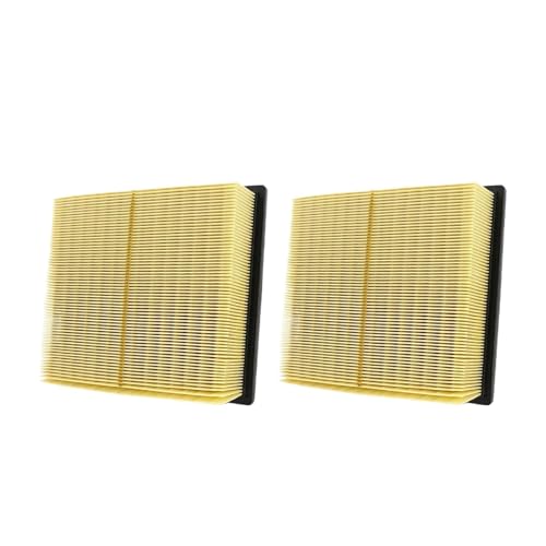 Motorluftfilter, Ruhige Filterkabine, Kompatibel Mit Lexus, RX350 2010–2021, CA10755, 17801-0P050, 17801-31130, 17801-31131(2pcs) von FMCUVBFR