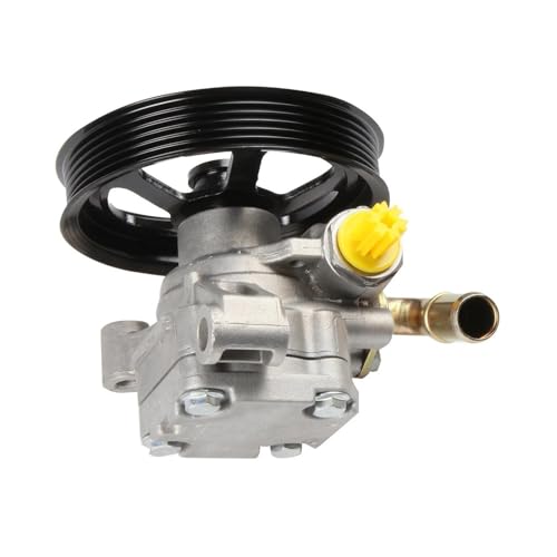 FNERRMEVC Auto-Servolenkungspumpen 21-2403 25939259 Servopumpe Für Buick Für Enclave 2008 2009 2010 2011 2012 2013 2014 2015 2016 2017 Power Pump Hydraulische Lenkung von FNERRMEVC