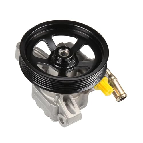 FNERRMEVC Auto-Servolenkungspumpen 25939259 20976855 Für GMC Für Acadia 2007 2008 2009 2010 2011 2012 2013 2014 2015 2016 Servopumpe Power Pump Hydraulische Lenkung von FNERRMEVC