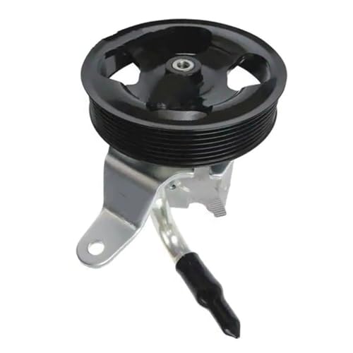 FNERRMEVC Auto-Servolenkungspumpen Für Infiniti G37 EX35 EX37 2008 2009 2010 2011 2012 2013 Servopumpe Ölpumpe 49110JK20A 49110-JK20A Power Pump Hydraulische Lenkung von FNERRMEVC
