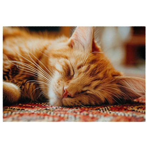 Platzdeckchen Tischmatten Abwaschbar Platzdeckchen Orange Katze Tier Tischmatten 6er Set Tischmatten 4er Set Platzdeckchen Tischmatten Abwaschbar Platzdeckchen Orange Katze Tier Tischmatten 6er Set Tischmatten 4er Set von FNETJXF