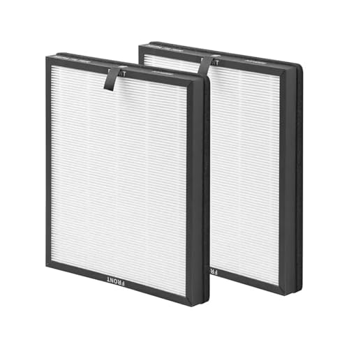 Filter, Kompatibel For MORENTO, HY4866 Luftreiniger H13 Filter Aktivkohle Filter Element(2pcs) von FNFEJHTB