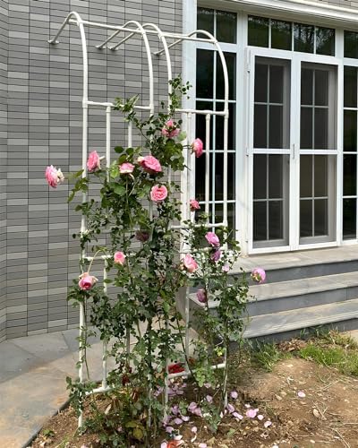 Gartenschau, Gartenbogen for Kletterpflanzen PE-beschichtete Stahlgitter-Pergola Multicolor Mehrere Größen(White,120x240cm) von FOELANNE