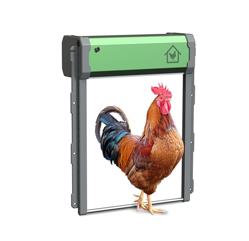 Hühnerklappe Automatisch Solar Batterie Groß: FOFNON Automatische Hühnerklappe Upgrade-Größe - Elektrische Hühnerklappe mit Timer und Lichtsensor (IP65) von FOFNON