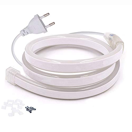 FOLGEMIR 1m Neon Seil Strip - Warmweiß, doppelseitige LED flexibler Streifen ohne Lichtpunkte, 220V helle 2835 LED Band, IP65 wasserdichter Lichtschlauch von FOLGEMIR