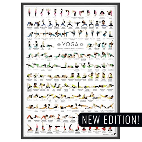 FOLLYGRAPH Yoga Poster NEUE EDITION - 150 Asanas - Yoga Geschenk (A2 (42x60 cm)) von FOLLYGRAPH