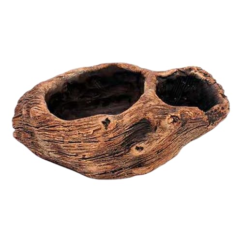 FOLODA Künstlerische Zementblumpots Mit Baumwurzeldesigns Für Kreative Büro Heimdekoration Balkon Gartenflächen Schreibtisch Display Vintage Stümpfe Pflanzer Pflanzer von FOLODA