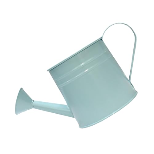 Metallwässerung Können Stilvolle Metallgaserflasche Einzigartige Pflanzenvase Für Home Office Garten Schmücken Vase Metallwässerung Können Stilvolle Metallgaserflasche Einzigartige Pflanzenvase Für Home Office Garten Schmücken Vase von FOLODA